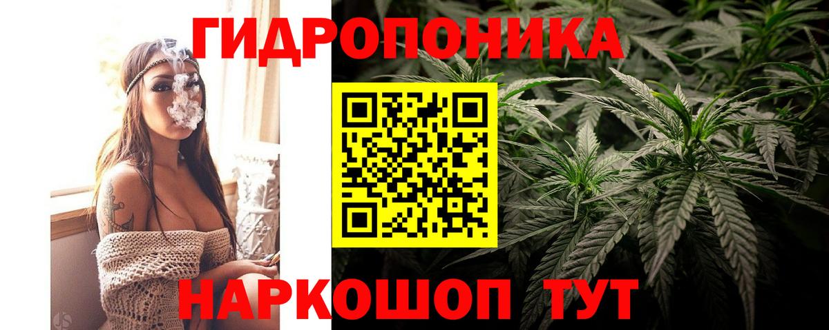 Канабис планчик  Шишки марихуана семена  Вход с VPN  Канабис VHQ  Канабис Bruce Banner  Москва 
